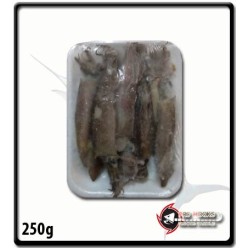 Bait Loligos Small - Plastic Bag |250g