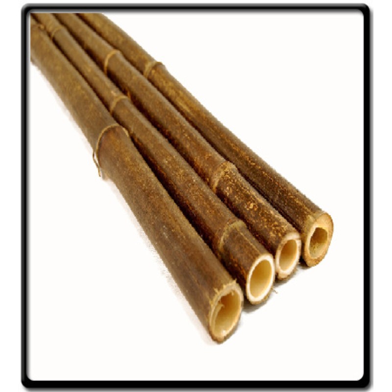 6m Bamboo Poles