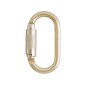 Auto Gate Lock Oval - Carabiner | Steel 